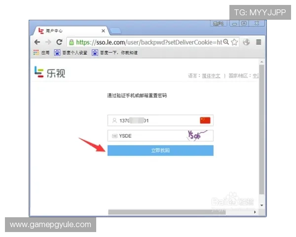 PG娱乐登录账号密码忘记了怎么办，快速找回账号的详细操作流程